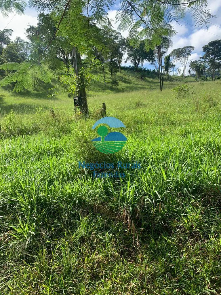 Fazenda à venda de 1.210 ha em Campinaçu, GO, Brasil