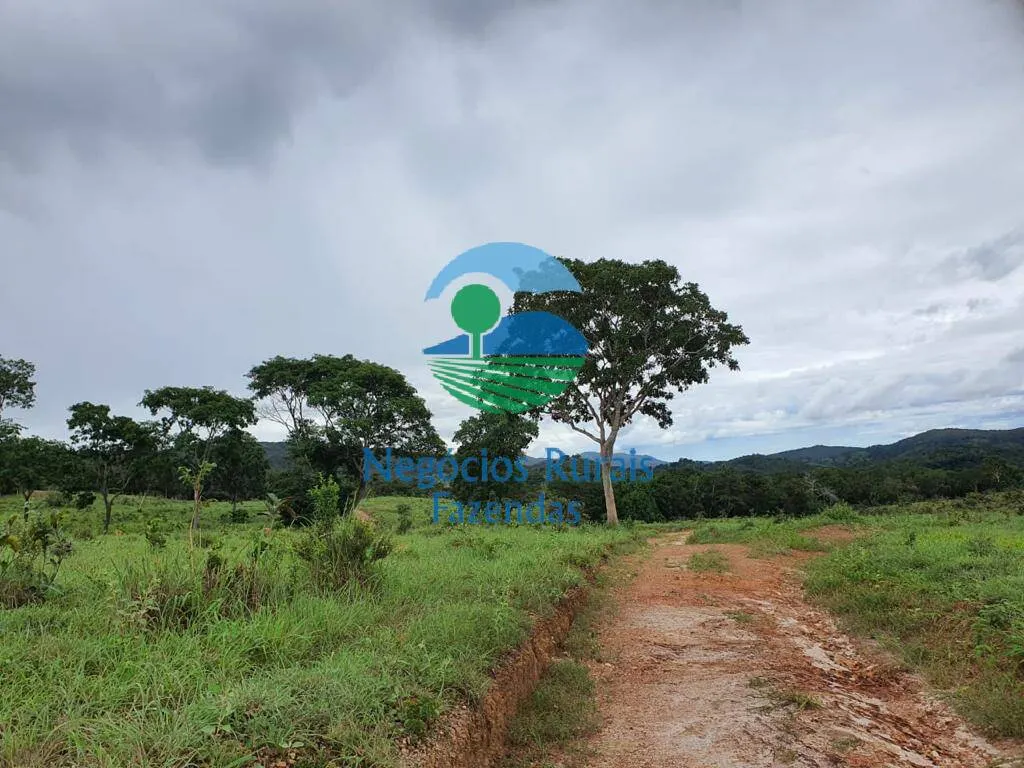 Fazenda à venda de 1.210 ha em Campinaçu, GO, Brasil