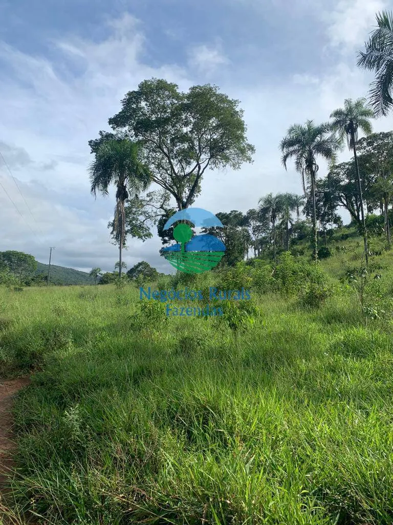Fazenda à venda de 1.210 ha em Campinaçu, GO, Brasil