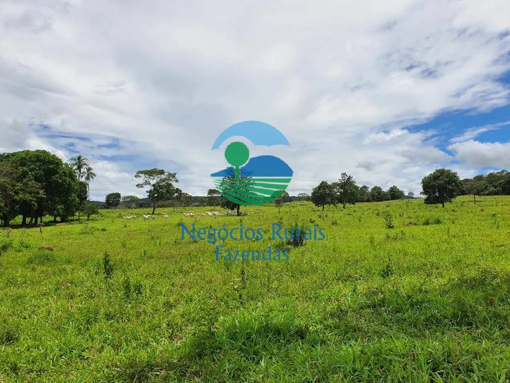 Fazenda à venda de 1.210 ha em Campinaçu, GO, Brasil