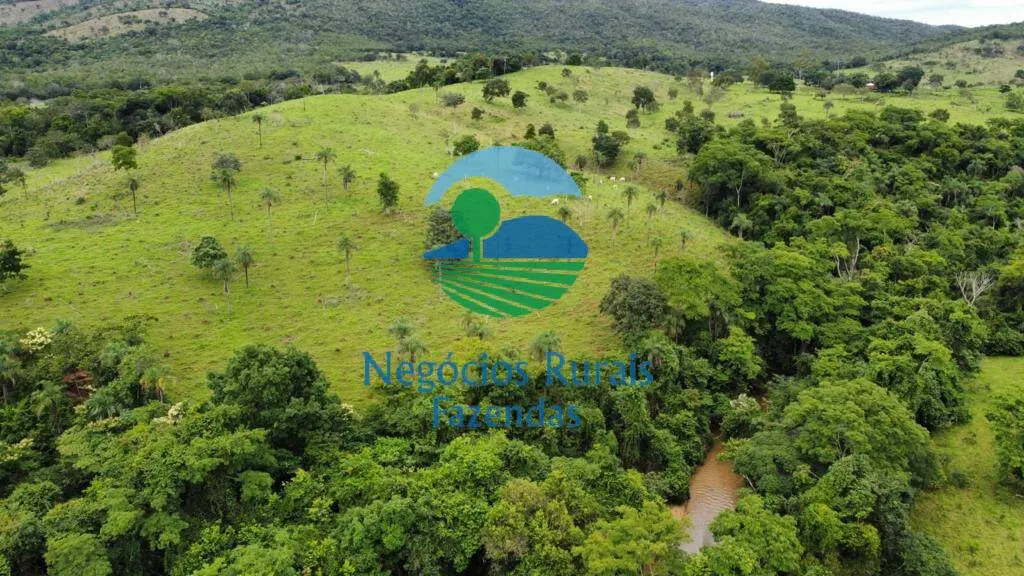 Fazenda à venda de 1.210 ha em Campinaçu, GO, Brasil