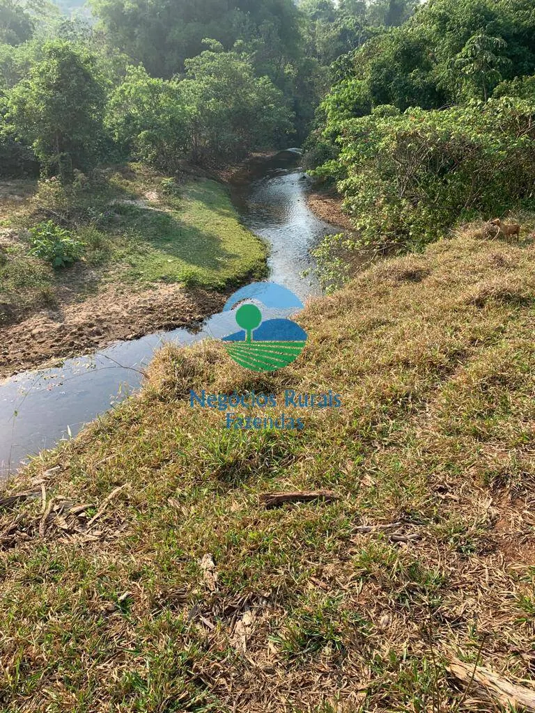 Fazenda à venda de 1.210 ha em Campinaçu, GO, Brasil