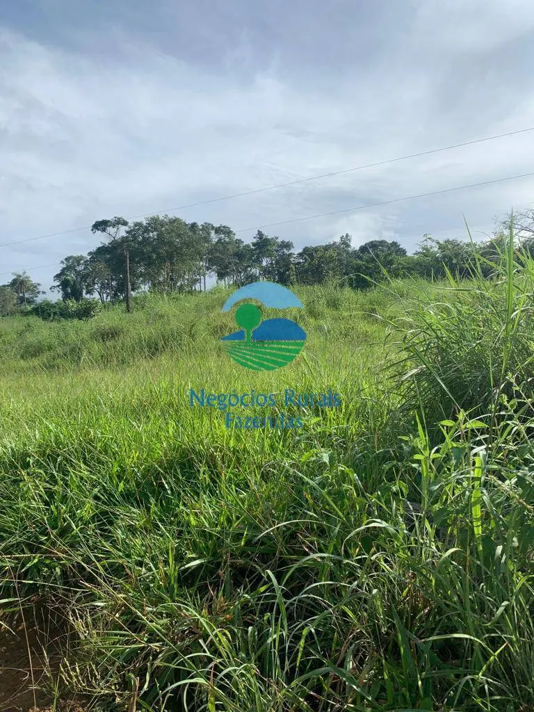 Fazenda à venda de 1.210 ha em Campinaçu, GO, Brasil