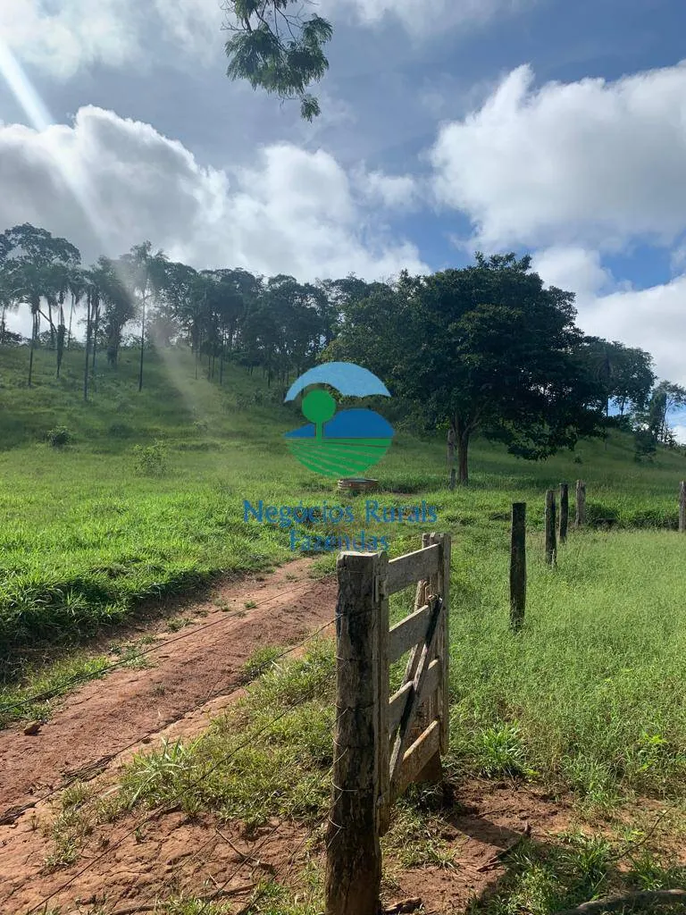Fazenda à venda de 1.210 ha em Campinaçu, GO, Brasil