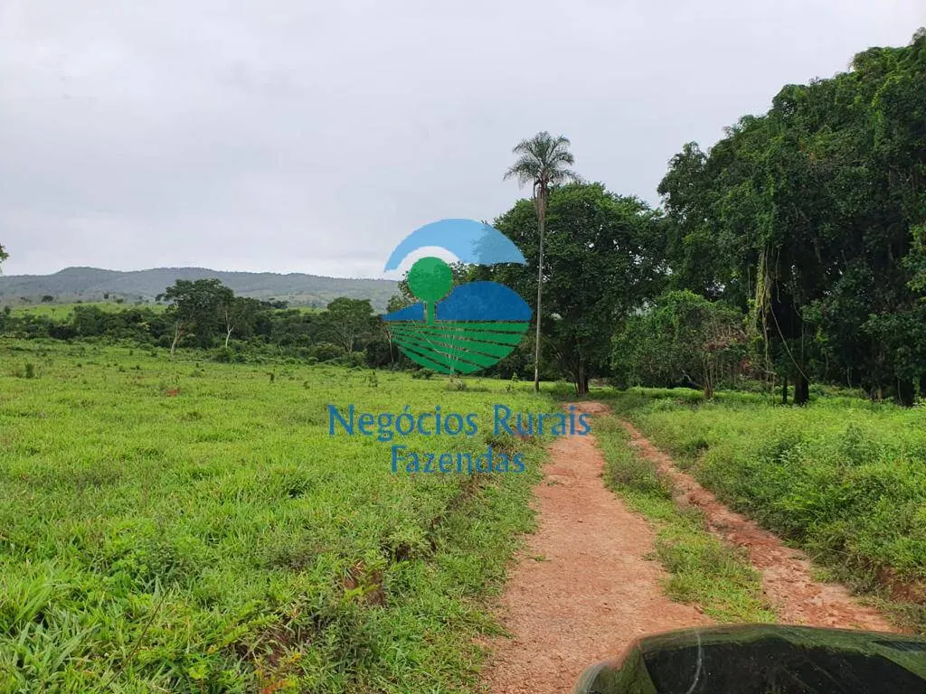 Fazenda à venda de 1.210 ha em Campinaçu, GO, Brasil