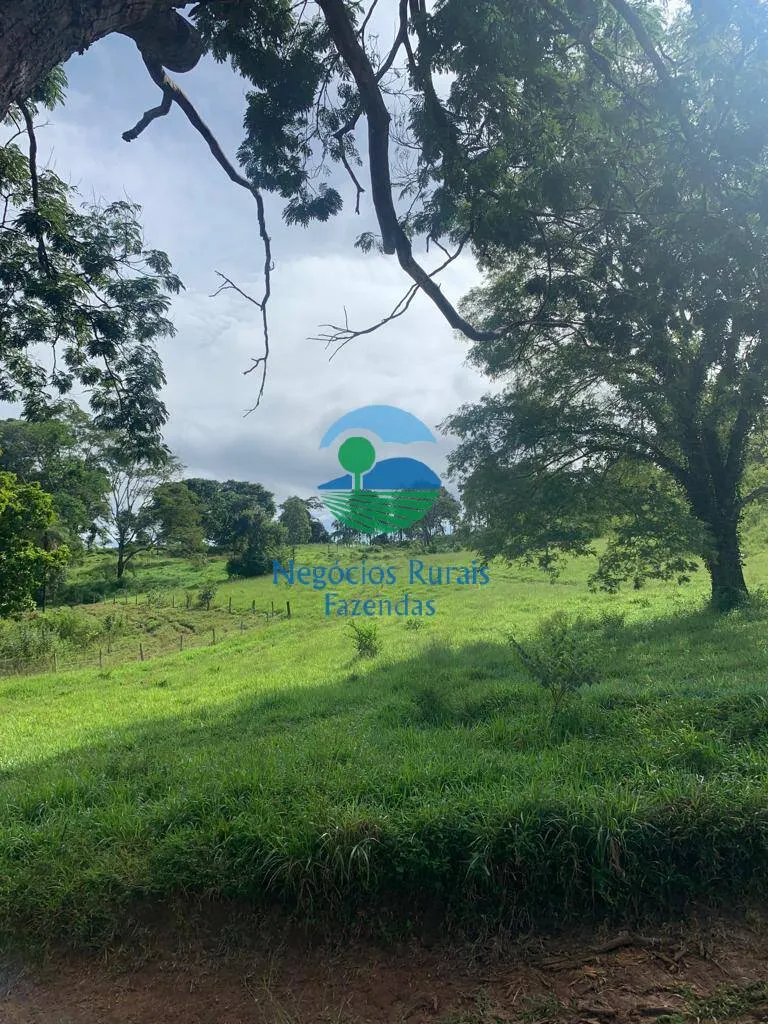 Fazenda à venda de 1.210 ha em Campinaçu, GO, Brasil