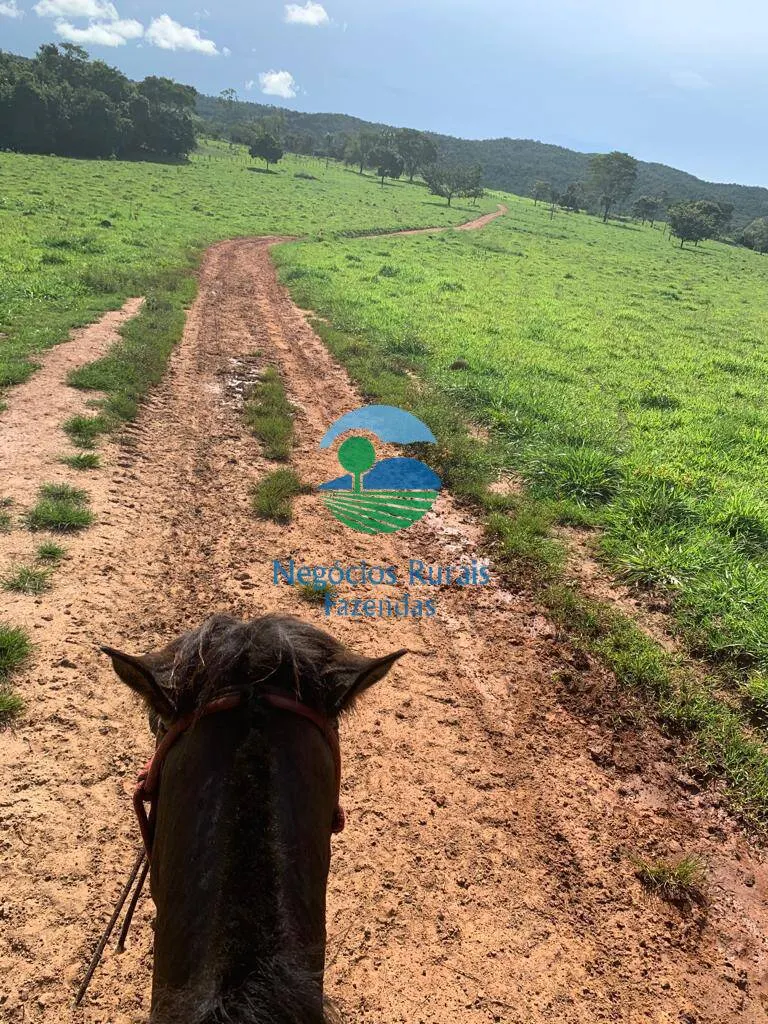 Fazenda à venda de 1.210 ha em Campinaçu, GO, Brasil