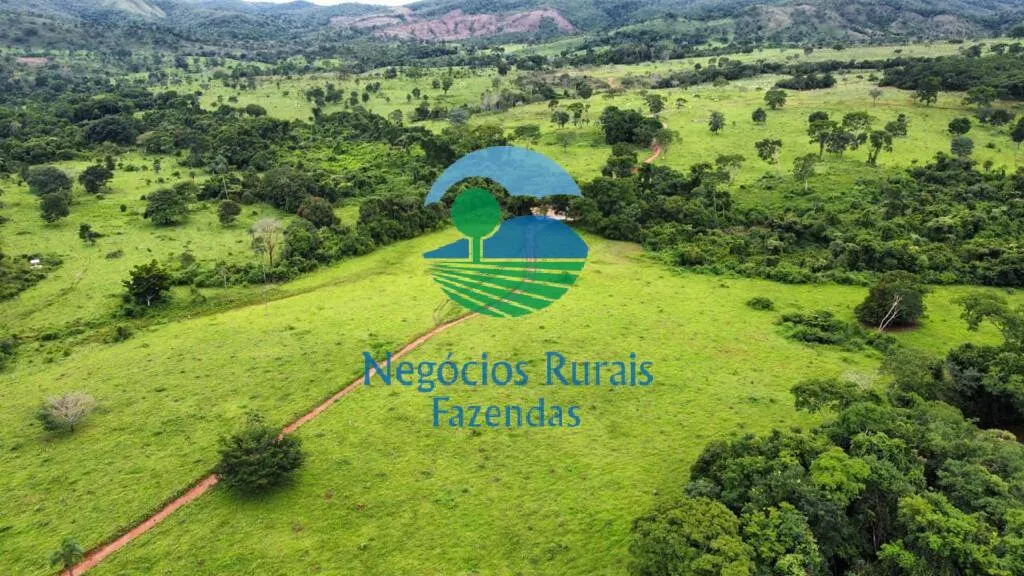 Fazenda à venda de 1.210 ha em Campinaçu, GO, Brasil