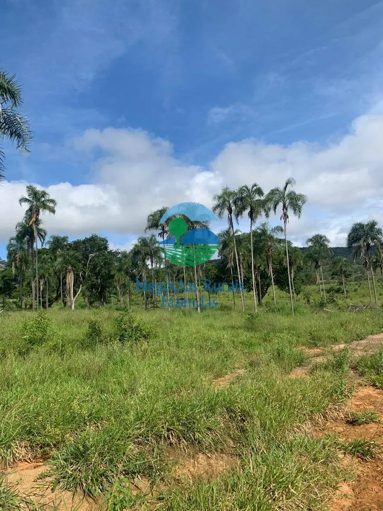 Fazenda à venda de 1.210 ha em Campinaçu, GO, Brasil