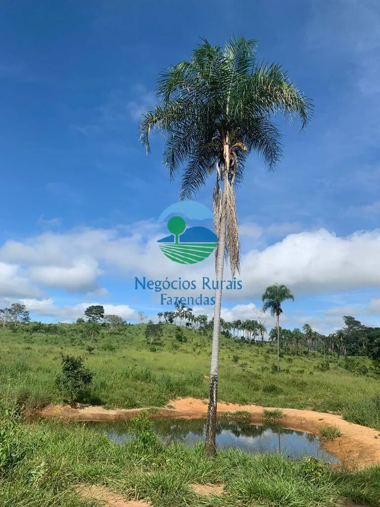 Fazenda à venda de 1.210 ha em Campinaçu, GO, Brasil