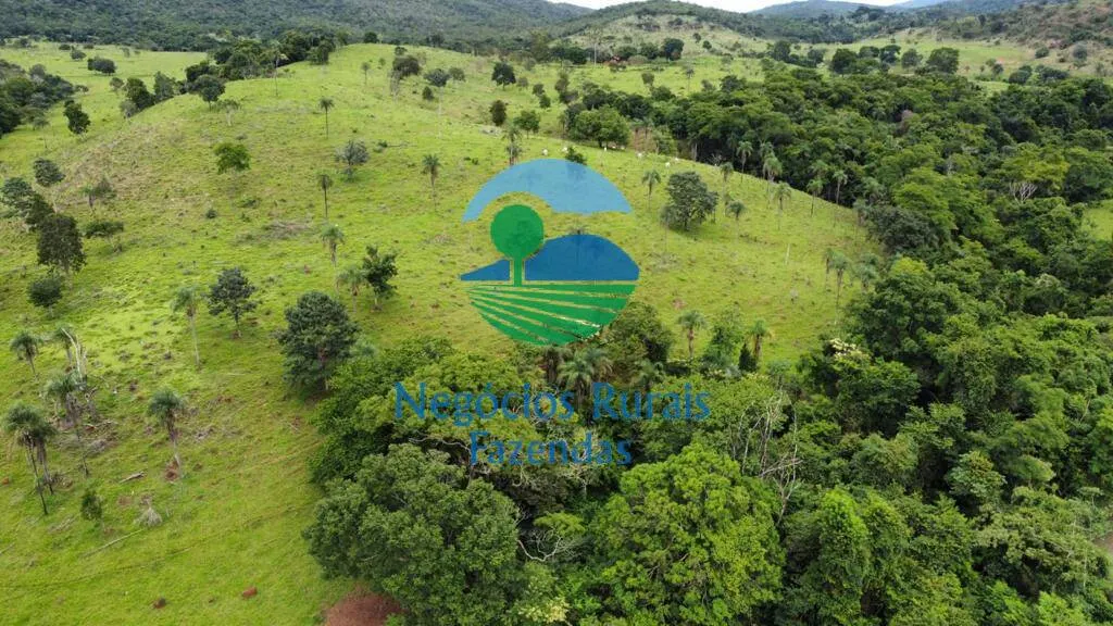 Fazenda à venda de 1.210 ha em Campinaçu, GO, Brasil
