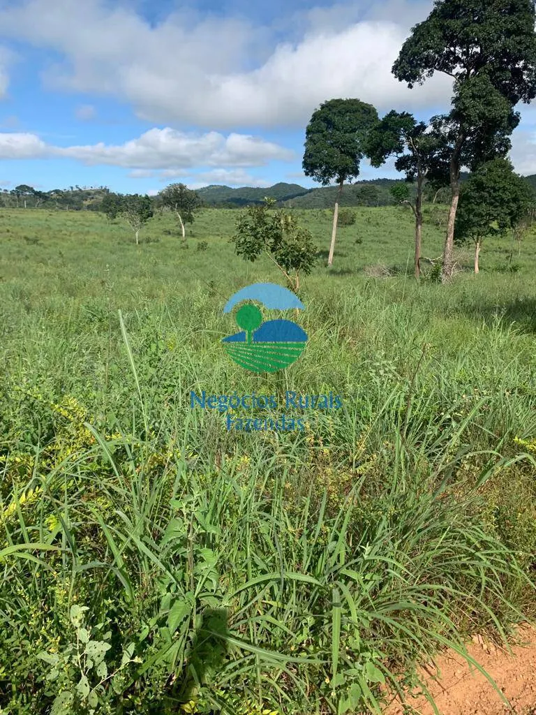 Fazenda à venda de 1.210 ha em Campinaçu, GO, Brasil