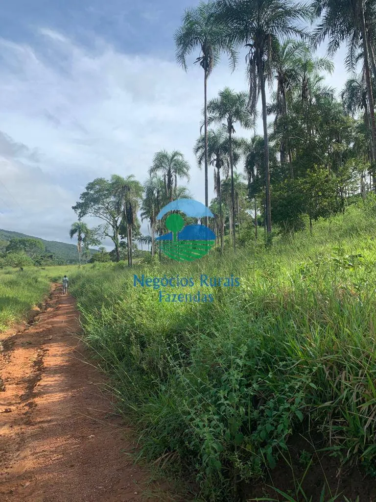 Fazenda à venda de 1.210 ha em Campinaçu, GO, Brasil