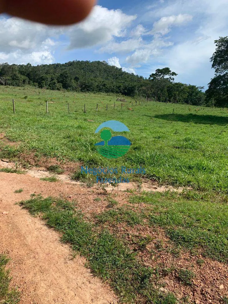 Fazenda à venda de 1.210 ha em Campinaçu, GO, Brasil