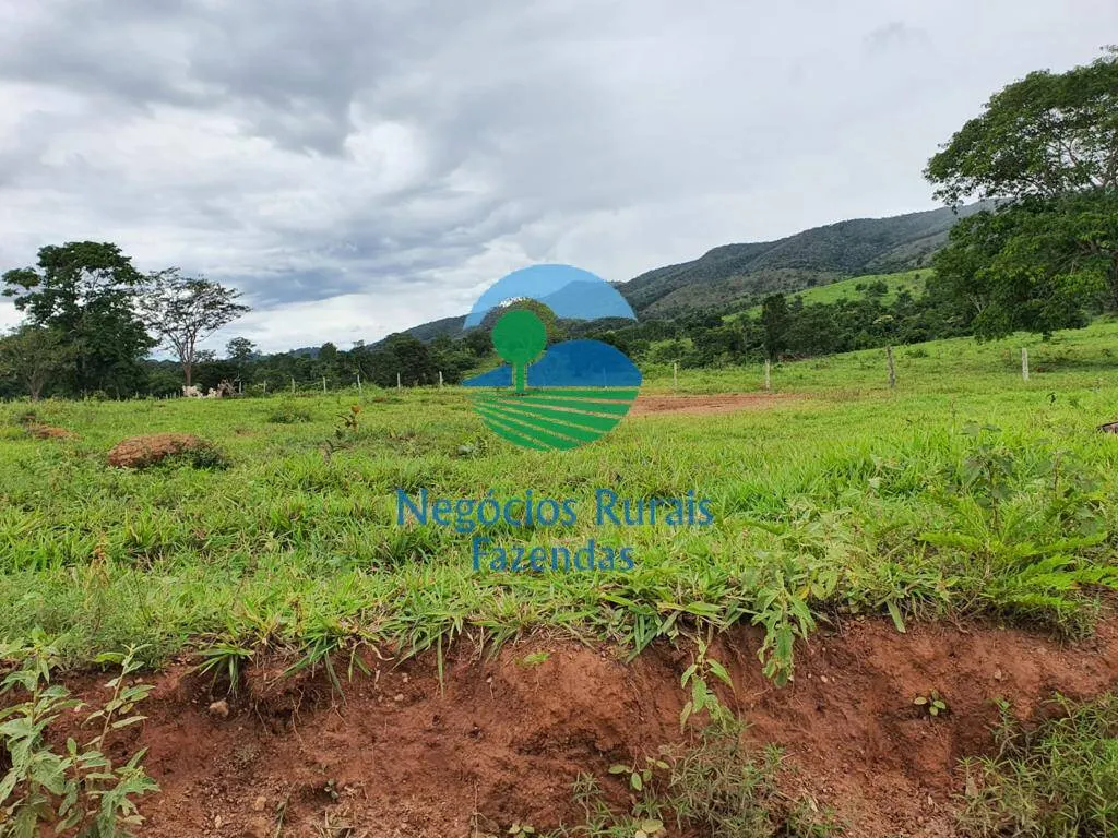 Fazenda à venda de 1.210 ha em Campinaçu, GO, Brasil