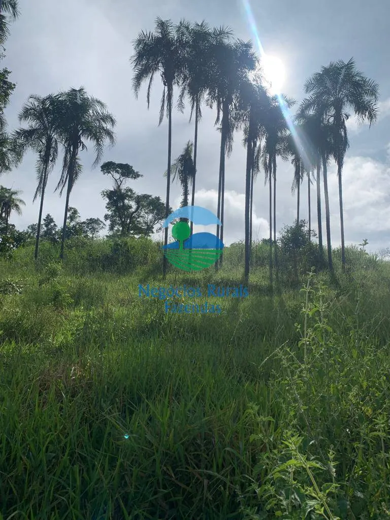 Fazenda à venda de 1.210 ha em Campinaçu, GO, Brasil