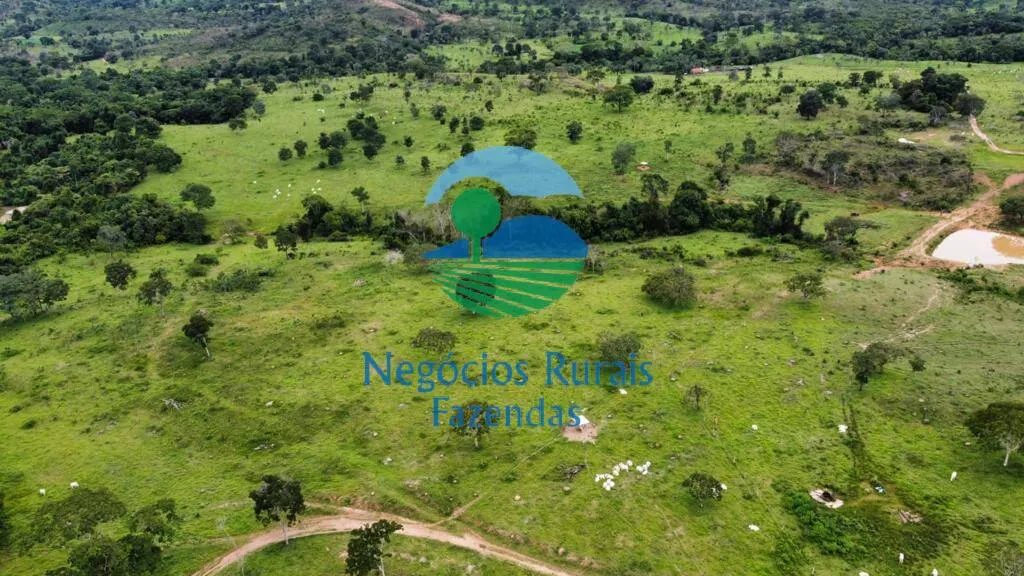 Fazenda à venda de 1.210 ha em Campinaçu, GO, Brasil