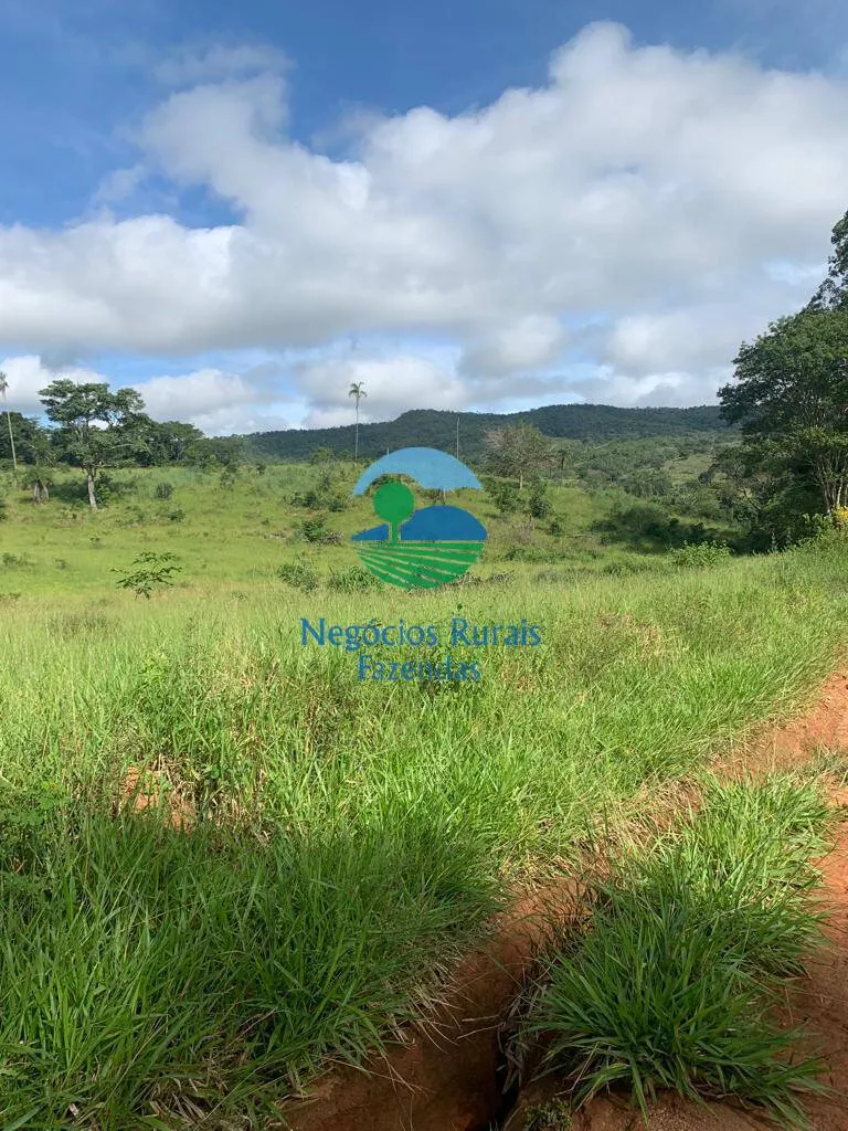 Fazenda à venda de 1.210 ha em Campinaçu, GO, Brasil