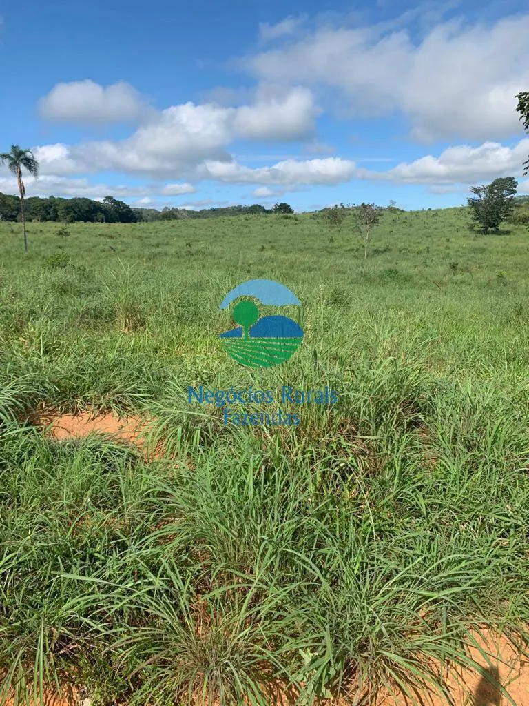 Fazenda à venda de 1.210 ha em Campinaçu, GO, Brasil