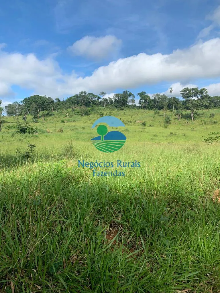 Fazenda à venda de 1.210 ha em Campinaçu, GO, Brasil