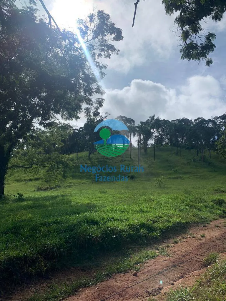 Fazenda à venda de 1.210 ha em Campinaçu, GO, Brasil