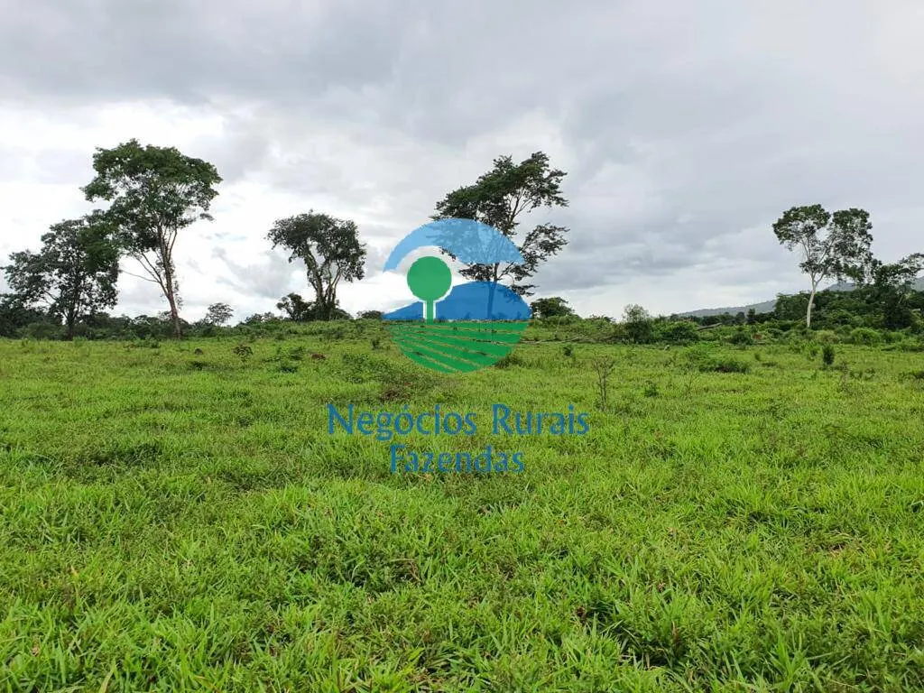 Fazenda à venda de 1.210 ha em Campinaçu, GO, Brasil