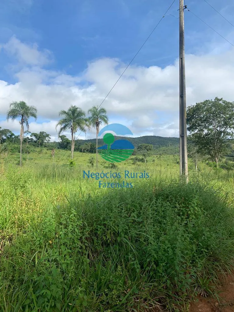 Fazenda à venda de 1.210 ha em Campinaçu, GO, Brasil