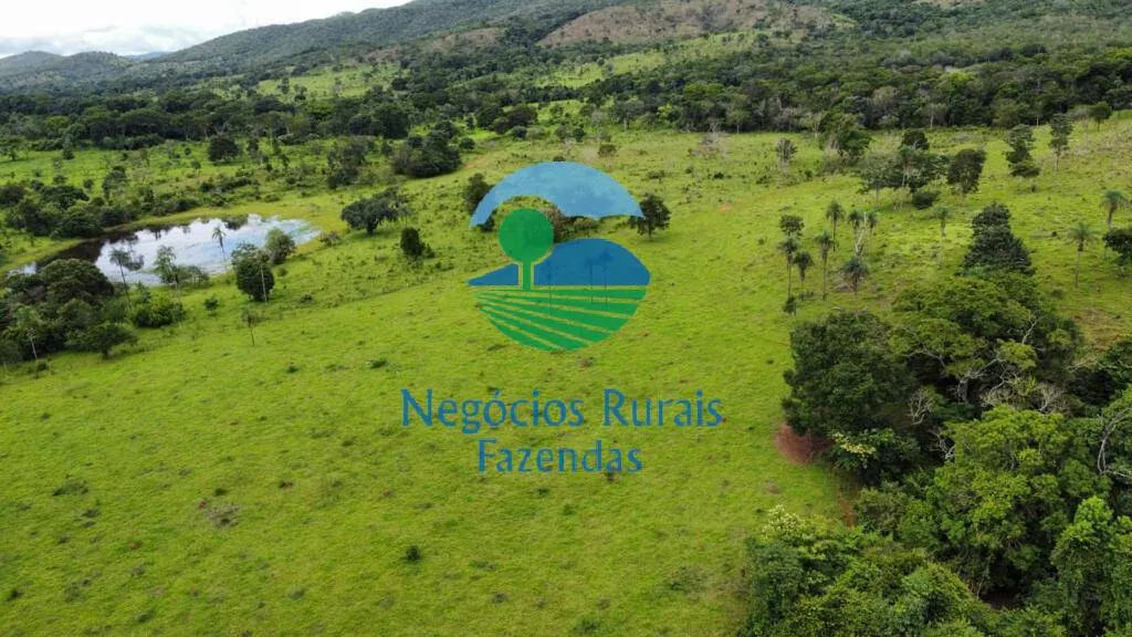Fazenda à venda de 1.210 ha em Campinaçu, GO, Brasil
