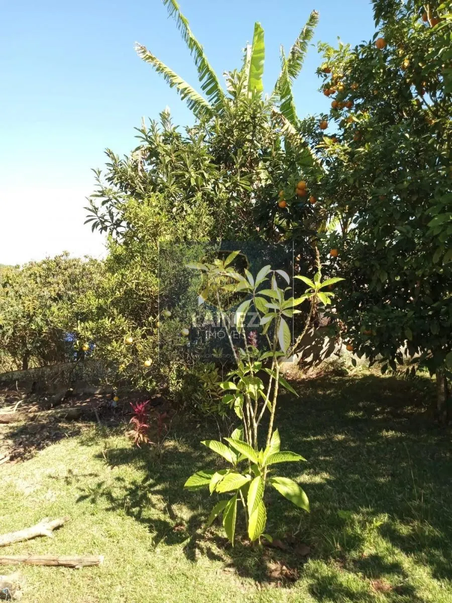 Fazenda à venda de 68 ha em São Paulo, SP, Brasil