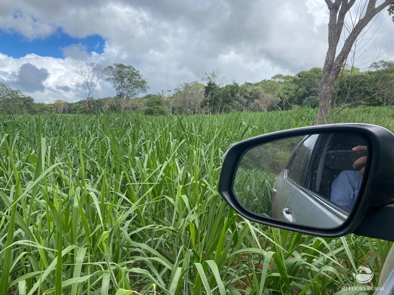 Fazenda à venda de 850 ha em Rio Negro, MS, Brasil