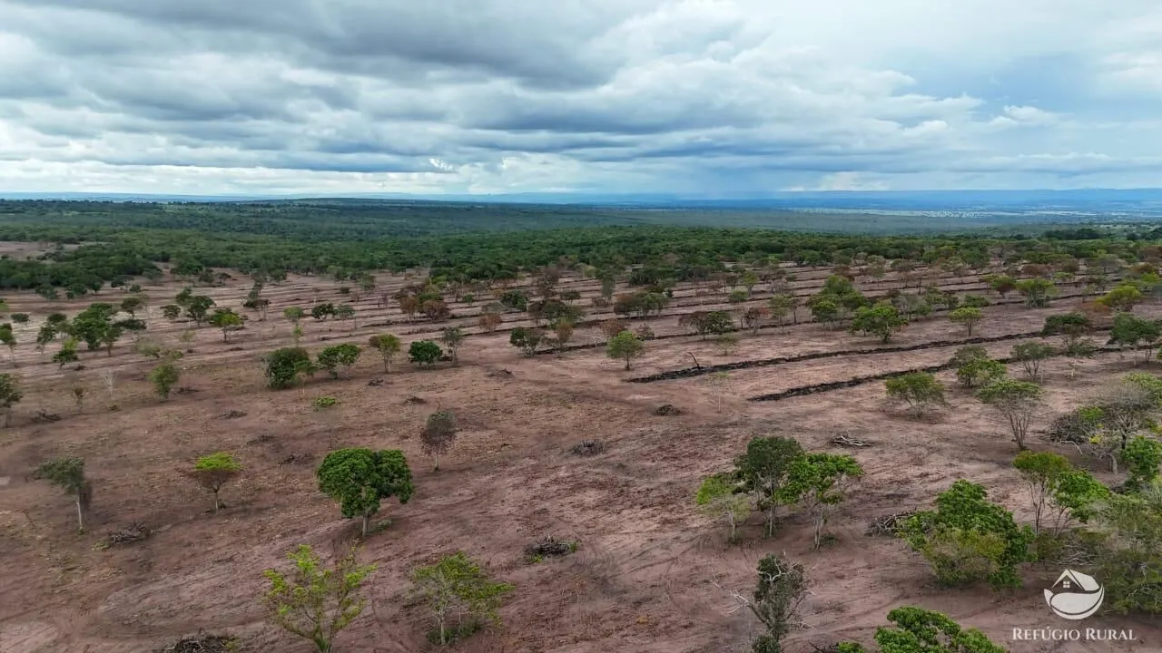 Fazenda à venda de 850 ha em Rio Negro, MS, Brasil
