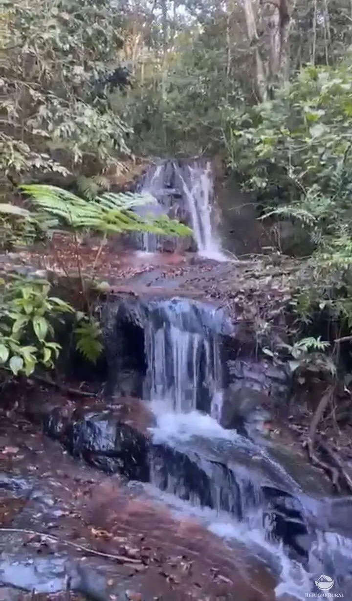 Fazenda à venda de 850 ha em Rio Negro, MS, Brasil