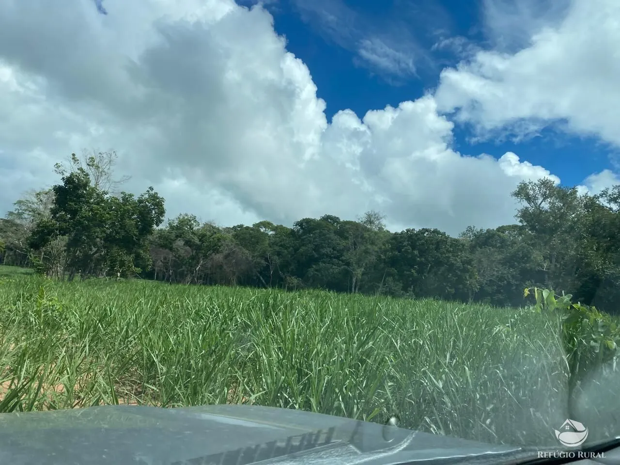 Fazenda à venda de 850 ha em Rio Negro, MS, Brasil