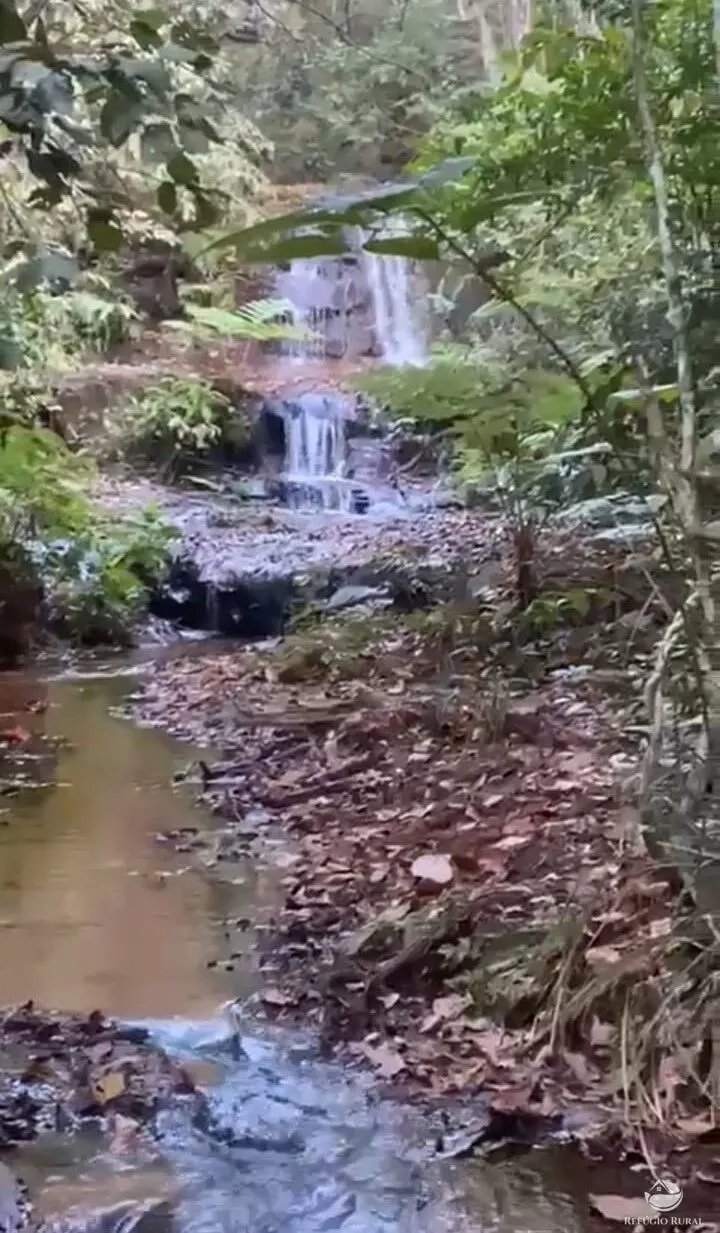 Fazenda à venda de 850 ha em Rio Negro, MS, Brasil