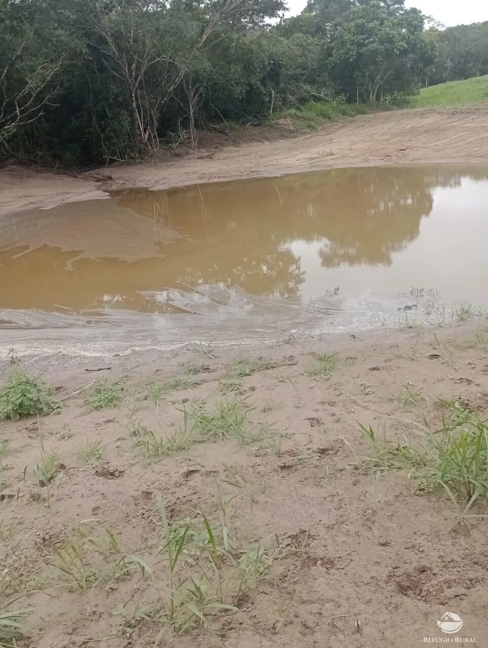 Fazenda à venda de 850 ha em Rio Negro, MS, Brasil