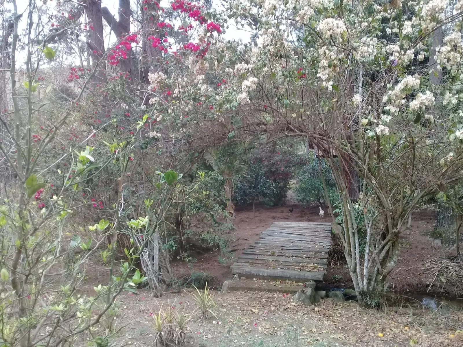 Sítio à venda de 24 ha em São José dos Campos, SP, Brasil
