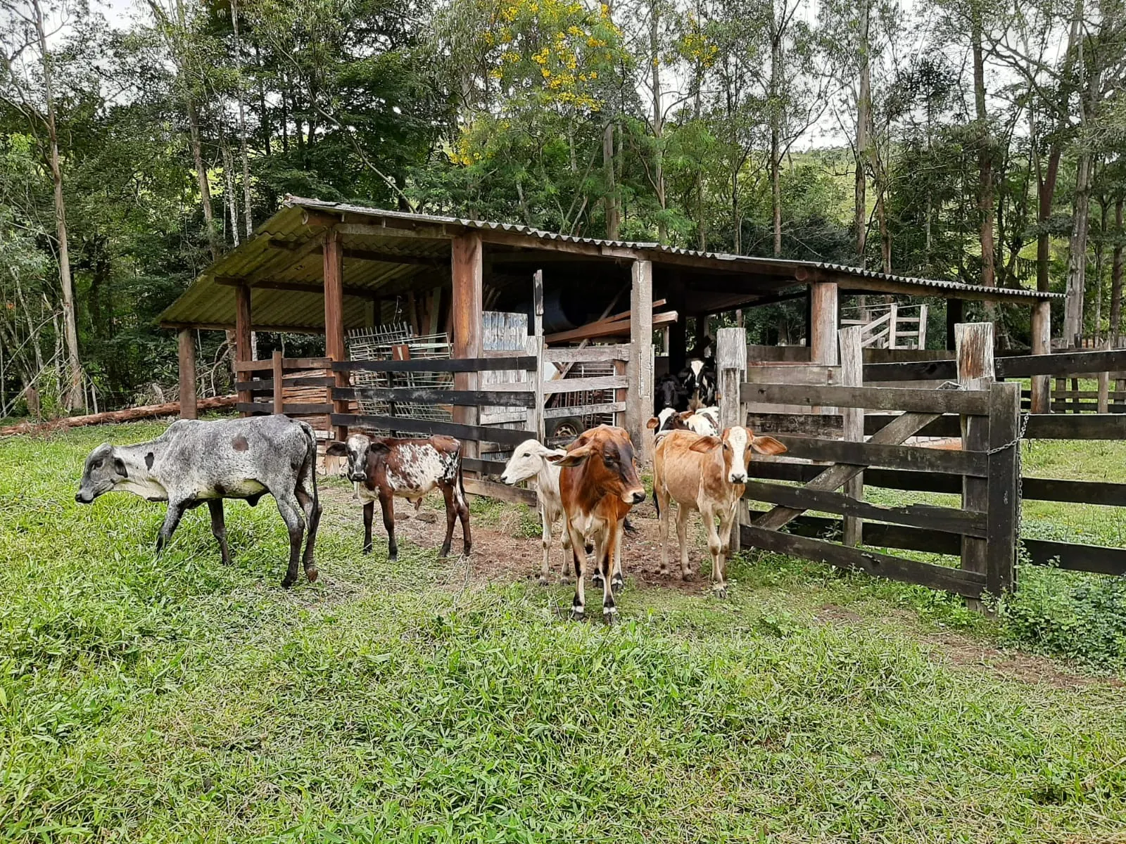 Sítio à venda de 24 ha em São José dos Campos, SP, Brasil