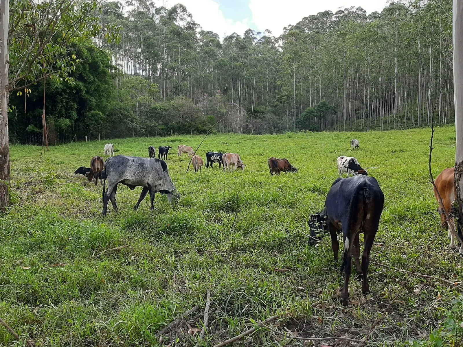 Sítio à venda de 24 ha em São José dos Campos, SP, Brasil