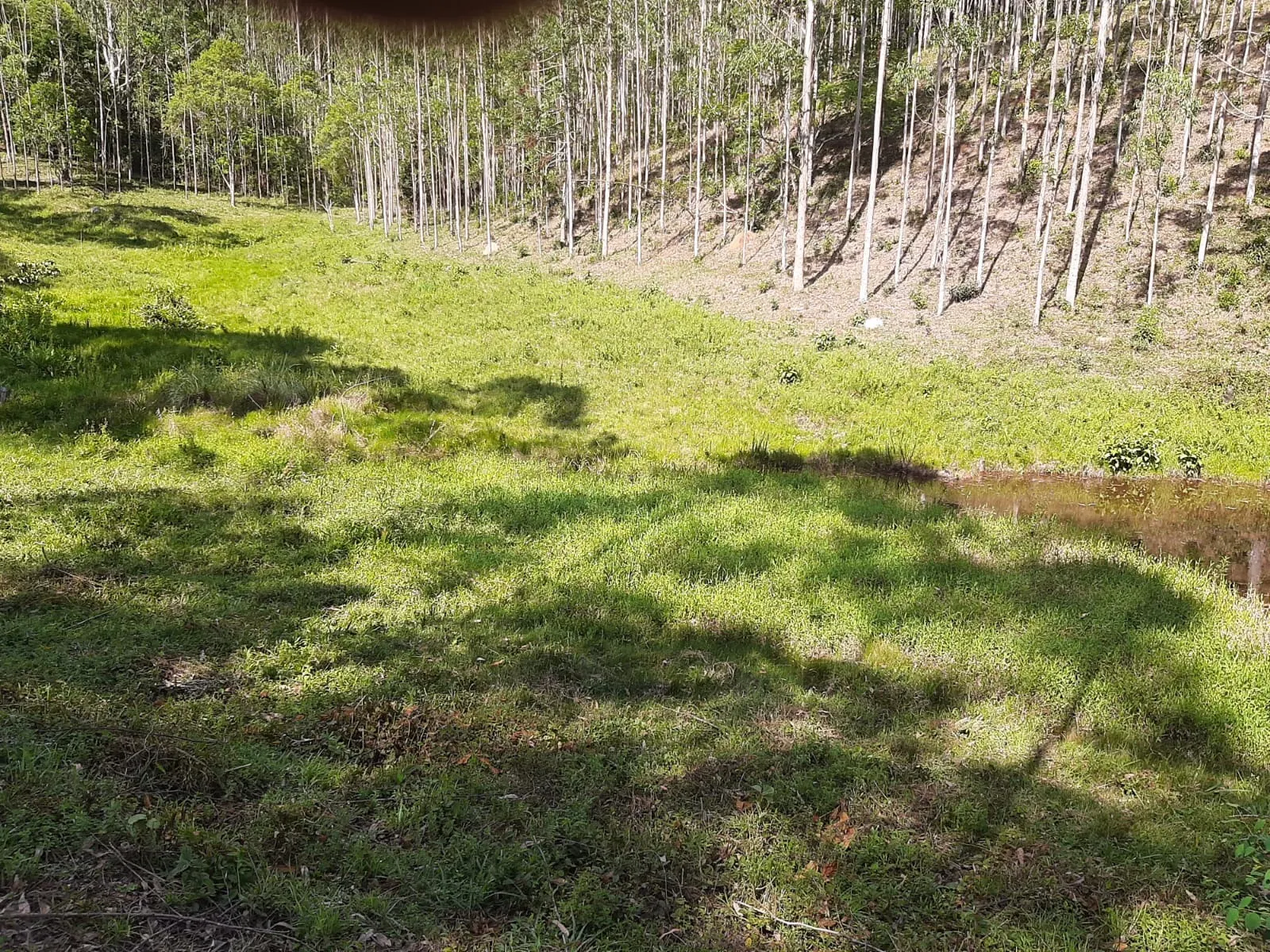 Sítio à venda de 24 ha em São José dos Campos, SP, Brasil