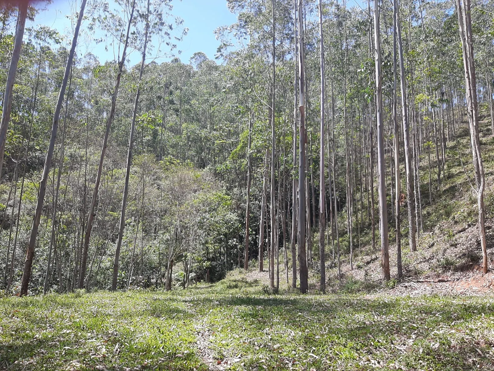 Sítio à venda de 24 ha em São José dos Campos, SP, Brasil