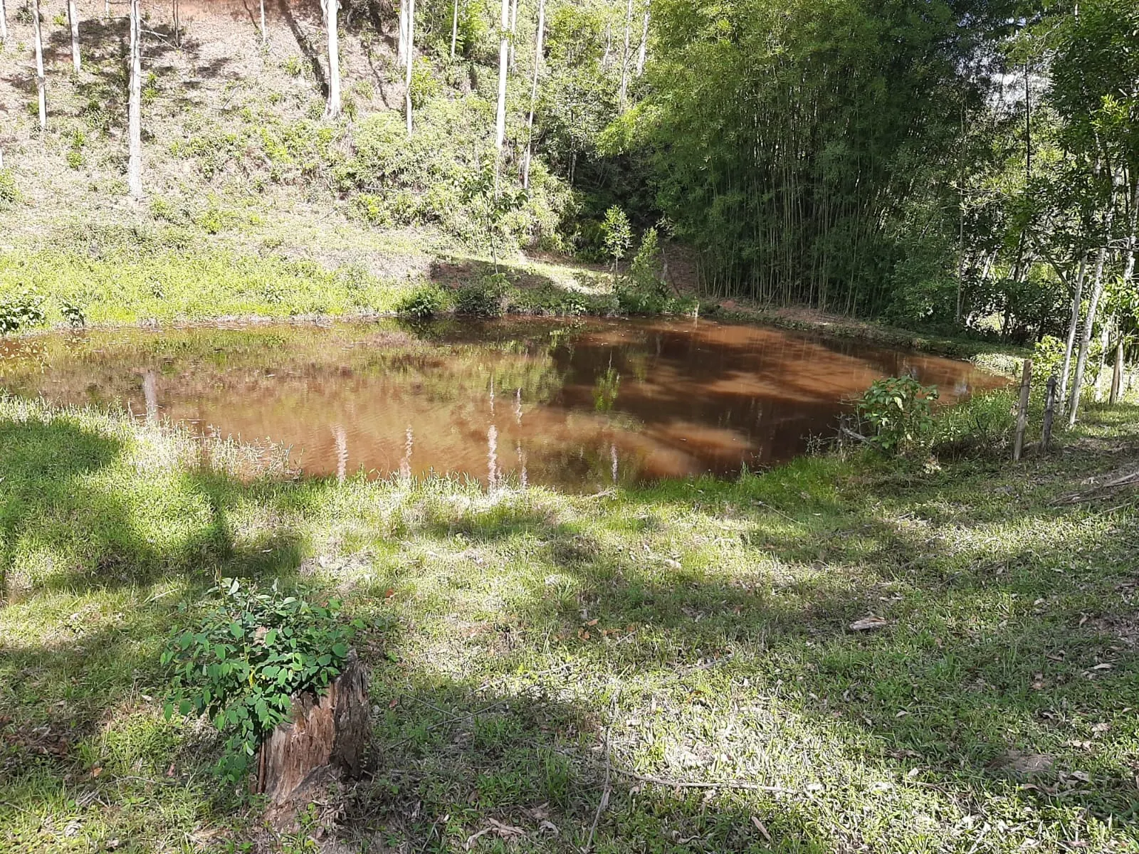 Sítio à venda de 24 ha em São José dos Campos, SP, Brasil