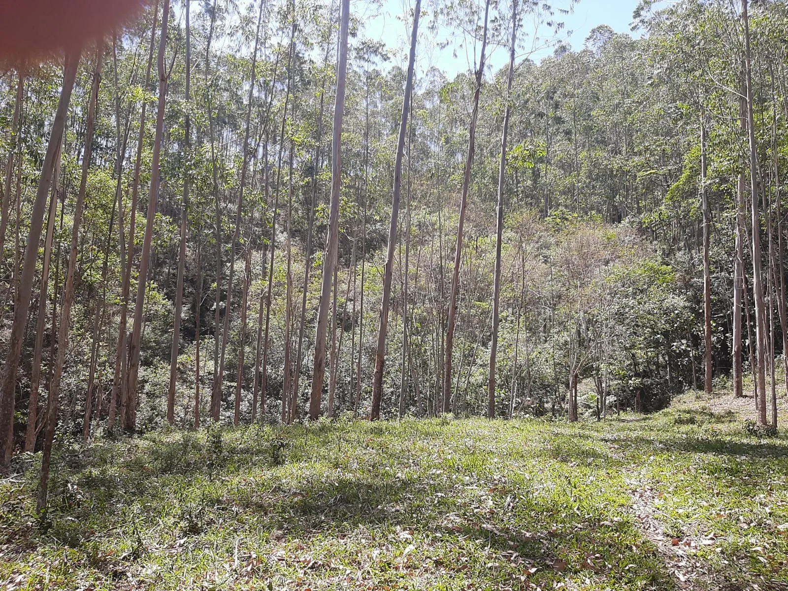 Sítio à venda de 24 ha em São José dos Campos, SP, Brasil