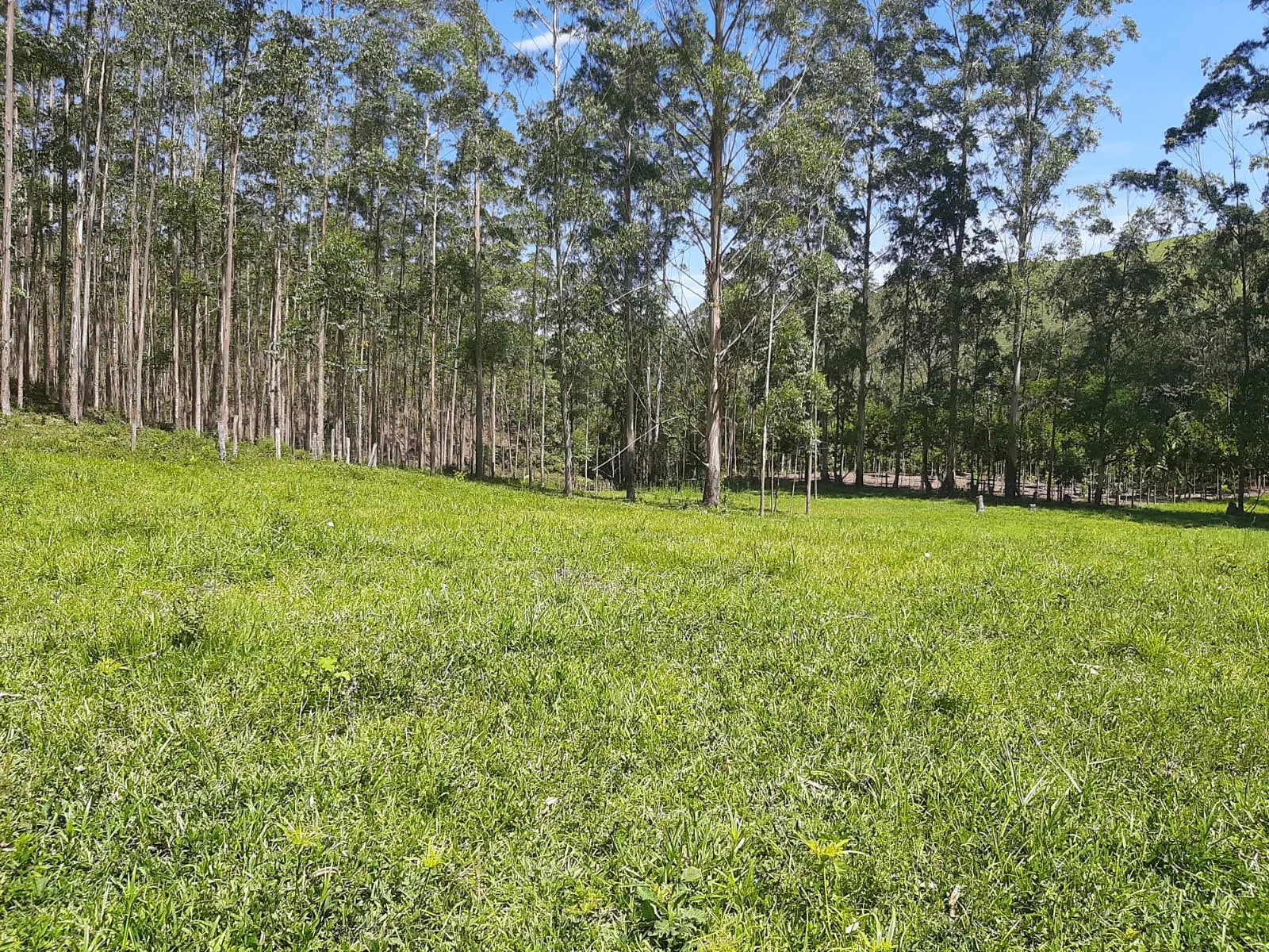 Sítio à venda de 24 ha em São José dos Campos, SP, Brasil