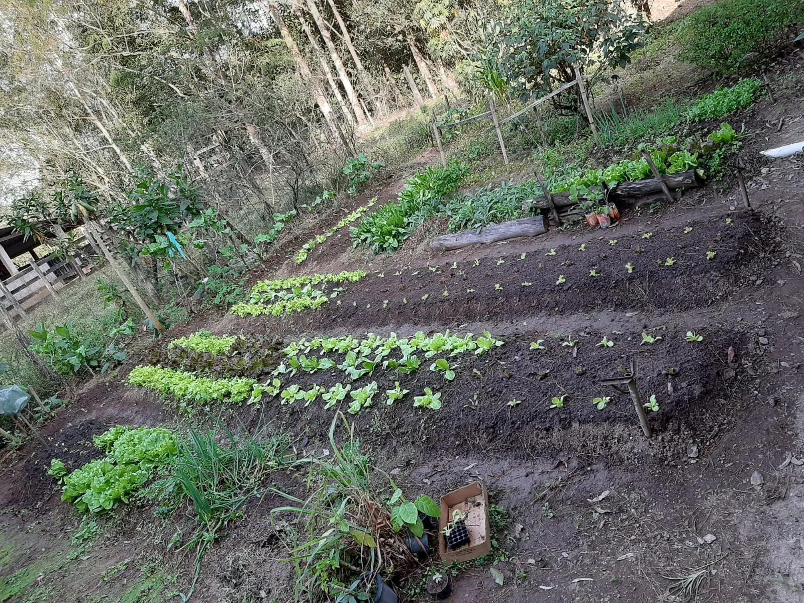Sítio à venda de 24 ha em São José dos Campos, SP, Brasil