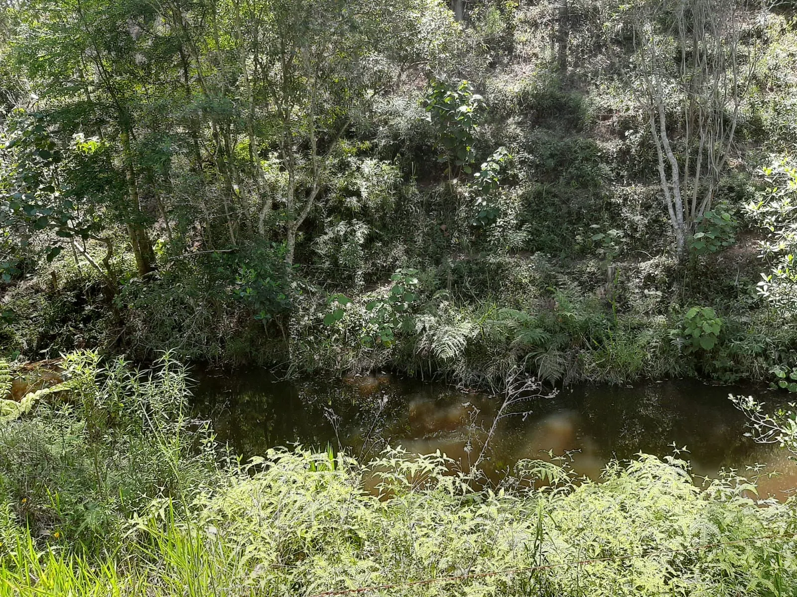 Sítio à venda de 24 ha em São José dos Campos, SP, Brasil