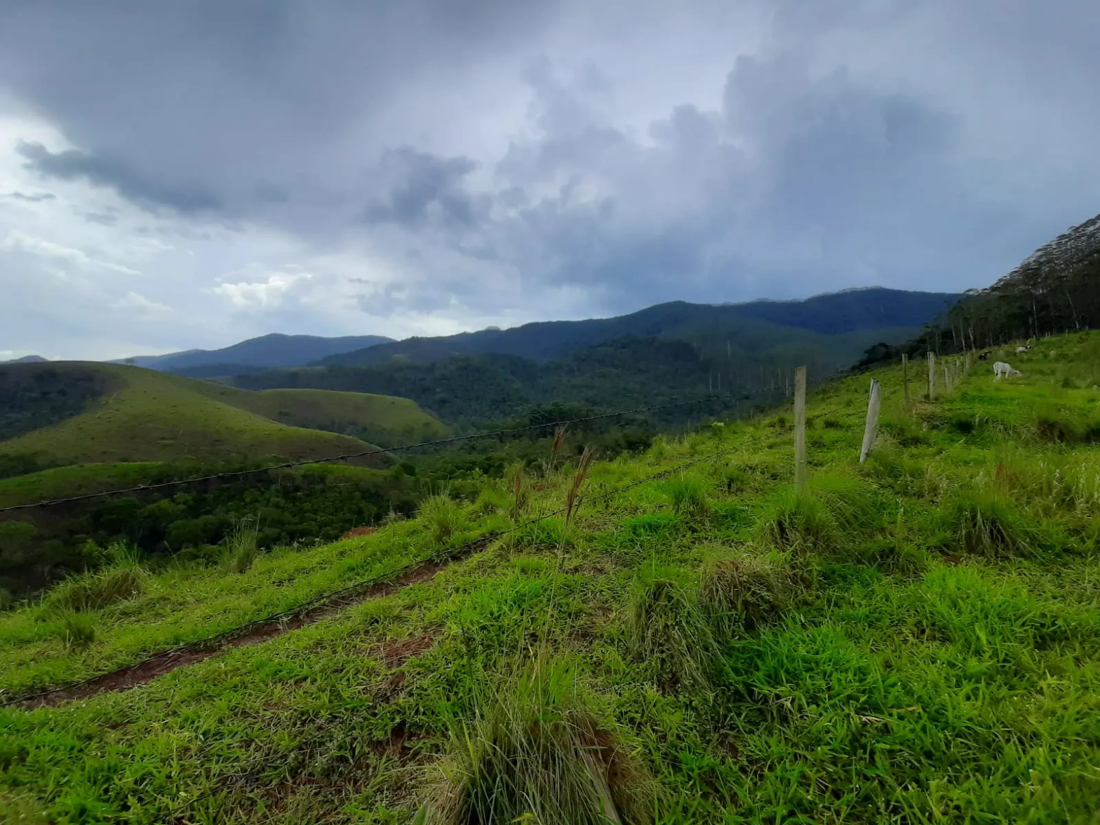 Sítio à venda de 24 ha em São José dos Campos, SP, Brasil