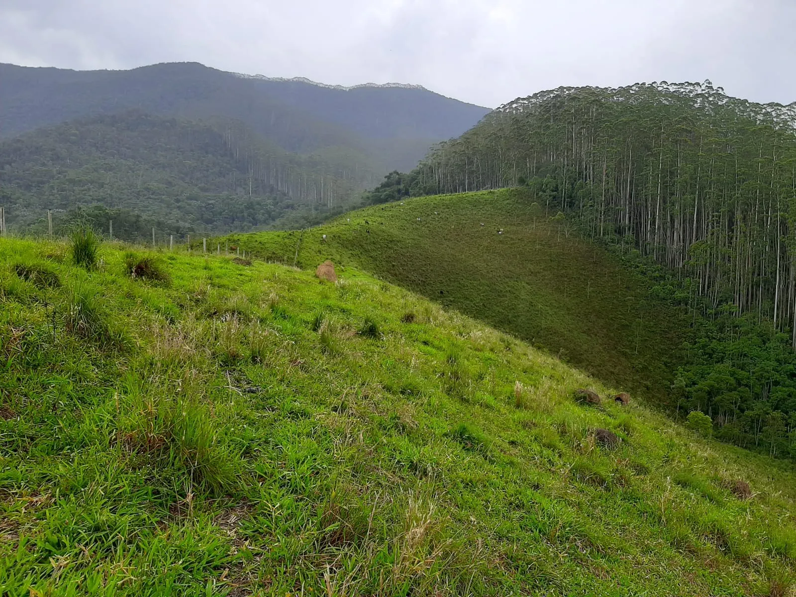 Sítio à venda de 24 ha em São José dos Campos, SP, Brasil