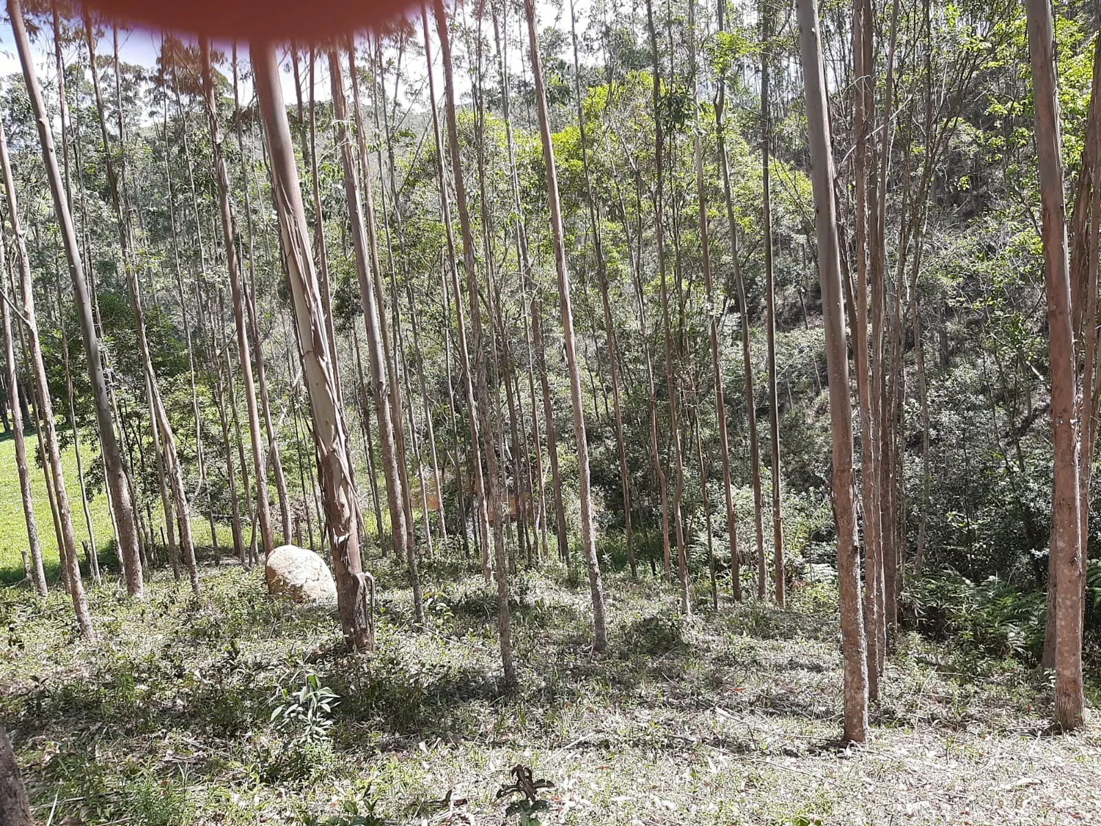 Sítio à venda de 24 ha em São José dos Campos, SP, Brasil