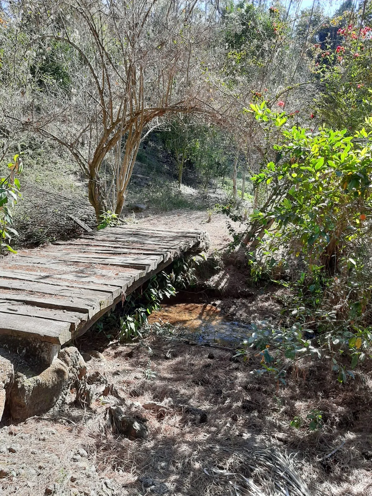 Sítio à venda de 24 ha em São José dos Campos, SP, Brasil
