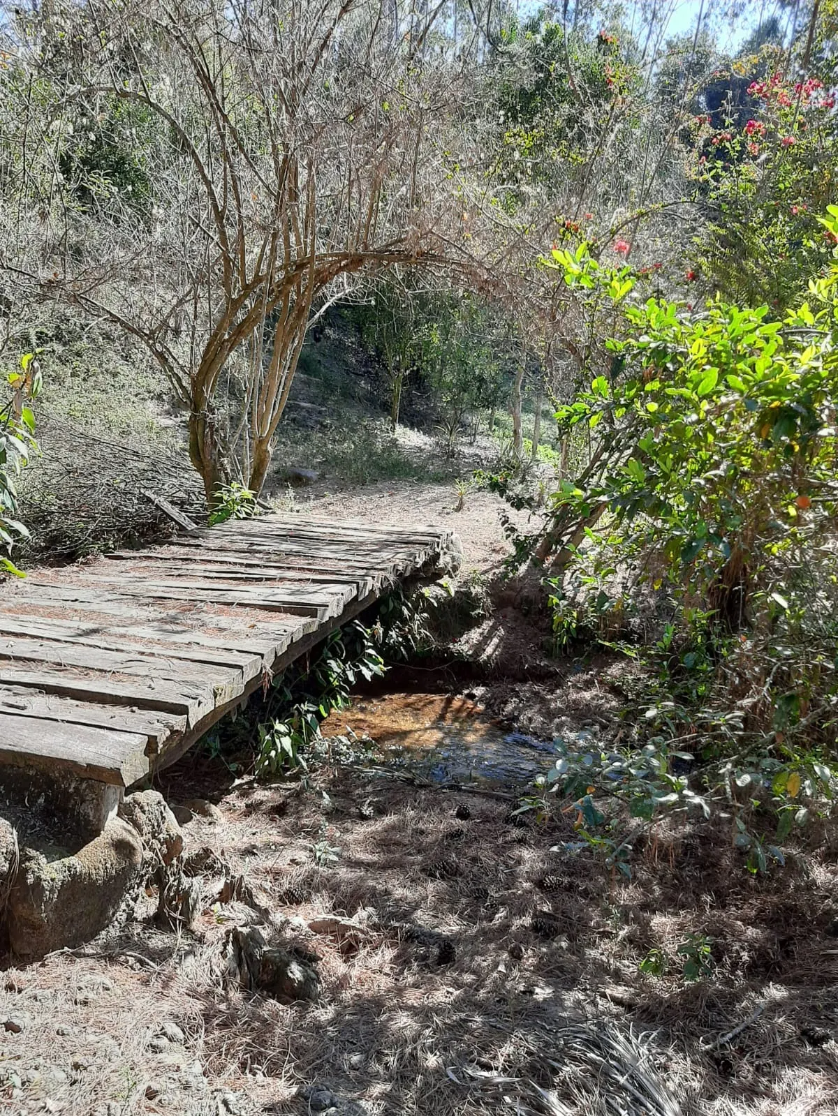 Sítio à venda de 24 ha em São José dos Campos, SP, Brasil